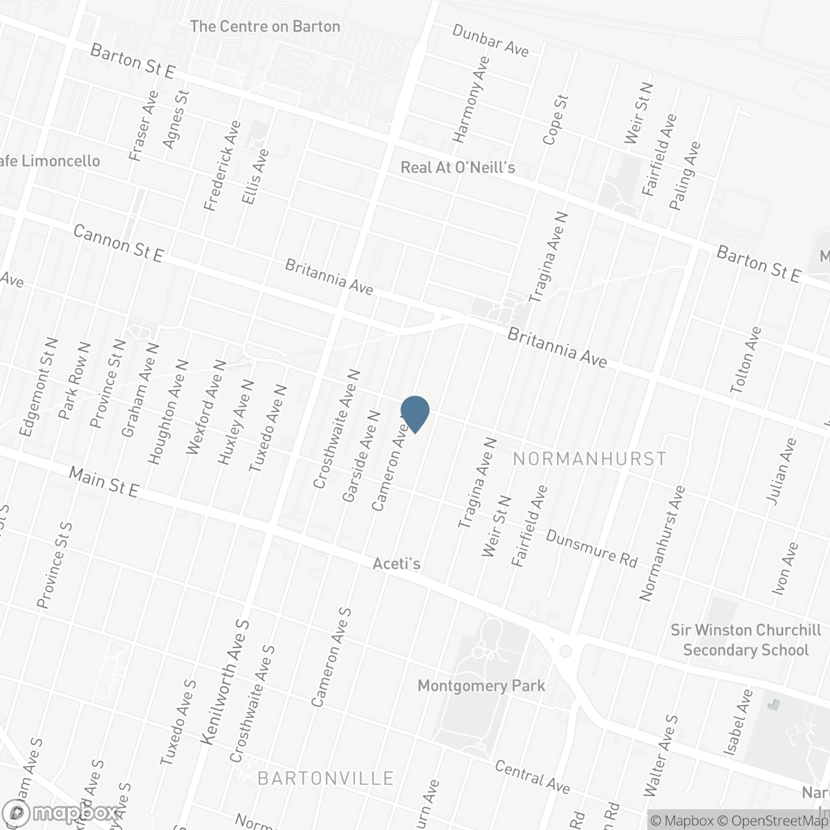 118 CAMERON Avenue N, Hamilton, Ontario L8H 4Z2